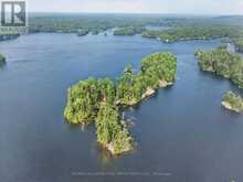 12 EASTLAND ISLAND, JACK LAKE | Apsley Ontario | Slide Image Four