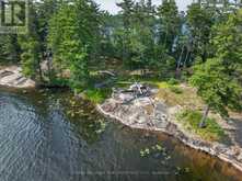 12 EASTLAND ISLAND, JACK LAKE | Apsley Ontario | Slide Image Five