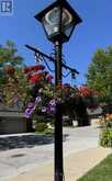 7 PURPLE SAGEWAY | Toronto Ontario | Slide Image Two