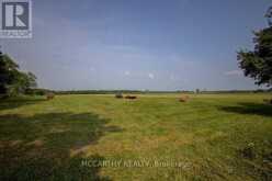 501098 HWY # 89 | Grand Valley Ontario | Slide Image Thirty