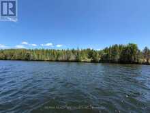 575 GRAND ISLAND | Coboconk Ontario | Slide Image One