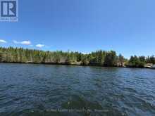575 GRAND ISLAND | Coboconk Ontario | Slide Image Two