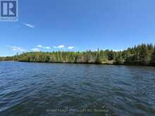 575 GRAND ISLAND | Coboconk Ontario | Slide Image Three
