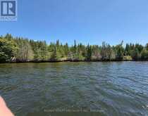 575 GRAND ISLAND | Coboconk Ontario | Slide Image Four