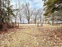 414 NORTH LINE ROAD | Fenelon Falls Ontario | Slide Image Two