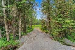 6905 COUNTY ROAD 21 | Alliston Ontario | Slide Image Three