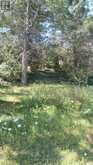 87 NAVIGATORS TRAIL | Bobcaygeon Ontario | Slide Image Three