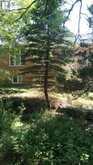 87 NAVIGATORS TRAIL | Bobcaygeon Ontario | Slide Image Four