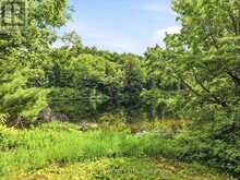 1063 SHERWOOD FOREST ROAD | Bracebridge Ontario | Slide Image Twenty-nine