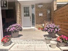 244 ROYAL SALISBURY WAY Brampton Ontario, L6V 3H4