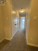 226 SPECKLED ALDER ROW | Ottawa Ontario | Slide Image Thirteen