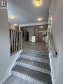 226 SPECKLED ALDER ROW | Ottawa Ontario | Slide Image Three