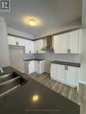 226 SPECKLED ALDER ROW | Ottawa Ontario | Slide Image Eight