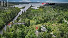 93 MCGUIRE BEACH ROAD | Kawartha Lakes Ontario | Slide Image Two
