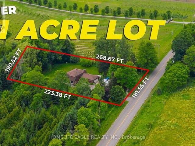5803 3RD LINE New Tecumseth Ontario, L0G 1W0 - 4 Bedrooms Home For Sale