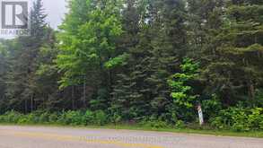 CON 2 PT LT 19 HWY 518 | Kearney Ontario | Slide Image One