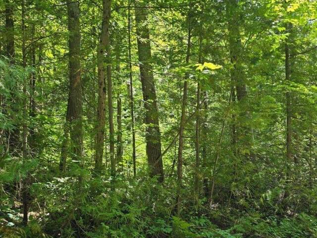 PT LT 3 CONCESSION 8 PT 123 Hastings Ontario, K0L 1Y0 - Vacant Land For Sale