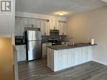 228 SPECKLED ALDER ROW | Ottawa Ontario | Slide Image Two
