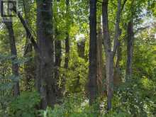 937082 AIRPORT ROAD W | Mulmur Ontario | Slide Image Thirty-eight