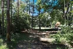 8570 HWY 12 | Oro-Medonte Ontario | Slide Image Thirty-six