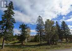 6814 HIGHWAY 35 | Minden Hills Ontario | Slide Image Three