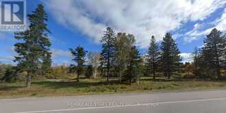 6814 HIGHWAY 35 | Minden Hills Ontario | Slide Image Four
