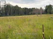 1742 HIGHWAY 66 WEST HIGHWAY W | Kirkland Lake Ontario | Slide Image Twenty-eight