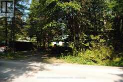 60 BROOK ROAD | Fenelon Falls Ontario | Slide Image Five
