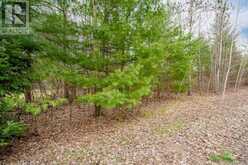4 NIDA CRESCENT | Wasaga Beach Ontario | Slide Image Seven
