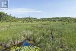 LOT 23 10 CONCESSION | Selwyn Ontario | Slide Image Thirteen