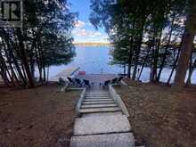 384 INDIAN POINT ROAD | Coboconk Ontario | Slide Image One