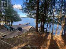 384 INDIAN POINT ROAD | Coboconk Ontario | Slide Image Two