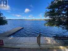 384 INDIAN POINT ROAD | Coboconk Ontario | Slide Image Thirty-two