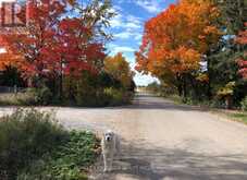 1854 SIDE ROAD 5 ROAD | Ramara Ontario | Slide Image Four