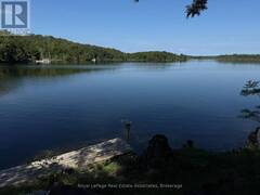 36 ST OLA LAKE SHORE E Tudor and Cashel Ontario, K0L 1W0
