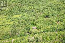 365 CLEARWATER LAKE ROAD | Huntsville Ontario | Slide Image Four