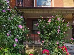 449 PACIFIC AVENUE Toronto Ontario, M6P 2R3