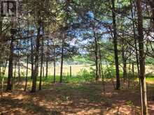 6 GREY STREET | Sables-Spanish Rivers Ontario | Slide Image Eight
