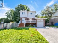 41 HODGINS AVENUE Georgina Ontario, L4P 3N1