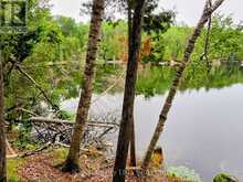 130A FINNEGAN LANE | Coe Hill Ontario | Slide Image Nine