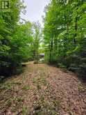 130A FINNEGAN LANE | Coe Hill Ontario | Slide Image Thirteen