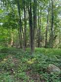2728 25TH SIDE ROAD | Innisfil Ontario | Slide Image Six