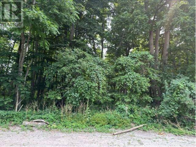 2728 25TH SIDE ROAD Innisfil Ontario, L9S 3T5 - Vacant Land For Sale