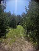 N/A GOVERNMENT RD ACRES W | Central Manitoulin Ontario | Slide Image One