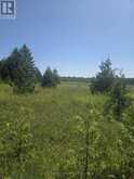 N/A GOVERNMENT RD ACRES W | Central Manitoulin Ontario | Slide Image Three