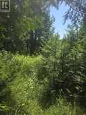 N/A GOVERNMENT RD ACRES W | Central Manitoulin Ontario | Slide Image Four