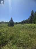 N/A GOVERNMENT RD ACRES W | Central Manitoulin Ontario | Slide Image Six