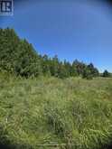 N/A GOVERNMENT RD ACRES W | Central Manitoulin Ontario | Slide Image Seven
