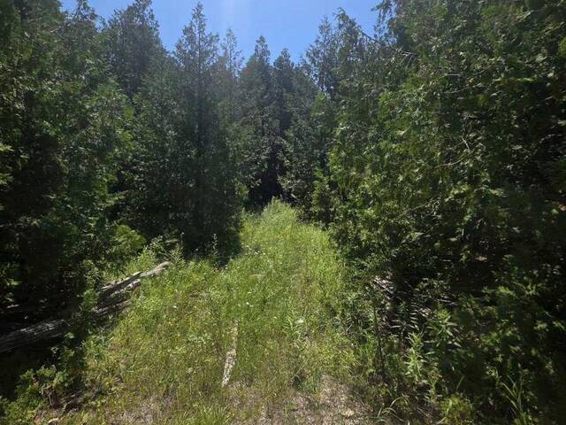 N/A GOVERNMENT RD ACRES W Central Manitoulin Ontario, P0P 2C0 - Vacant Land For Sale