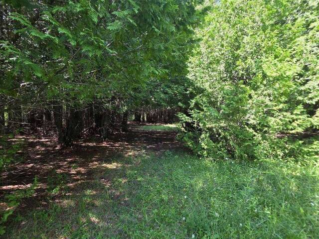N/A GOVERNMENT ROAD W Central Manitoulin Ontario, P0P 2C0 - Vacant Land For Sale